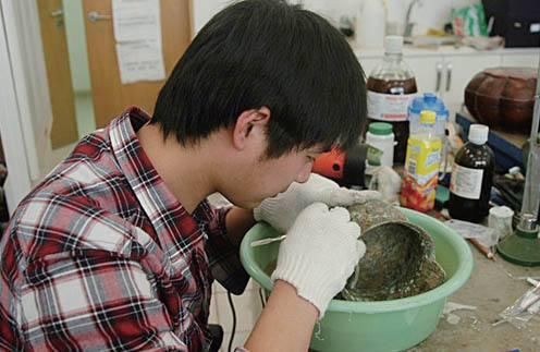 燕雀安知鸿鹄之志|留守女学霸报考北大考古专业，网友惋惜，“燕雀安知鸿鹄之志哉”