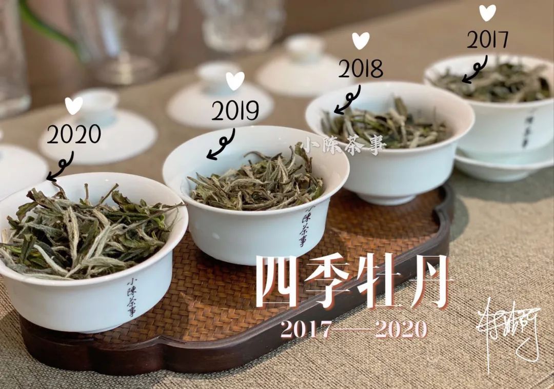 因素|白牡丹喝出了白毫银针的感觉,抛开等级的因素,良好的储存是关键