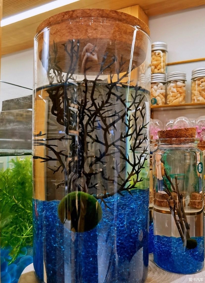 冬天的峨眉一个童话般的冰雪世界，真是美不胜收