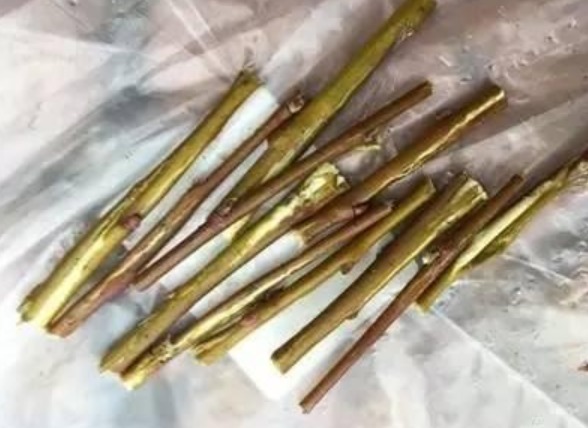 盆底|3种“垃圾”垫盆底,不黄叶烂根,1年四季叶子油绿,花开爆盆!