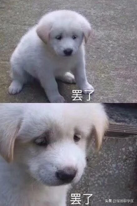 公卫|生三胎，要买什么户型？
