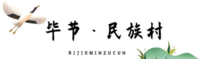 观鸟|乡游黔中│十里碧波，当草海遇见黑颈鹤，亲历一场候鸟的归去来兮