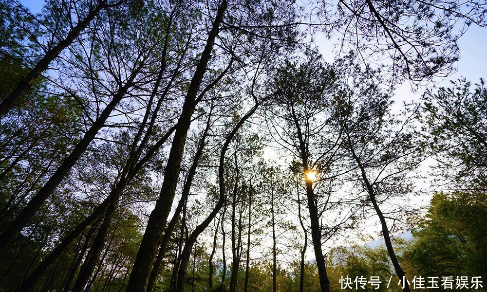 永嘉书院—快活林