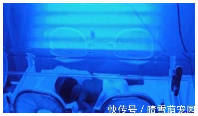 这两种血型的爸妈，生出来的宝宝会很聪明，被称为“完美血型组”