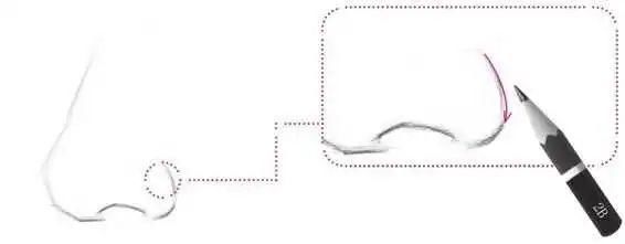 零基础素描教程：分步骤讲解3/4侧面鼻子画法，简单易学，快临摹