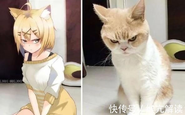 偶像|当三次元闯进二次元,本以为动物娘化已经很萌,谁知运动员更惊艳