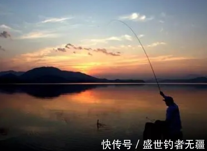 鲤鱼|夏季钓鱼流行夜钓，做好这几点，鱼获不会少！——盛世三渔