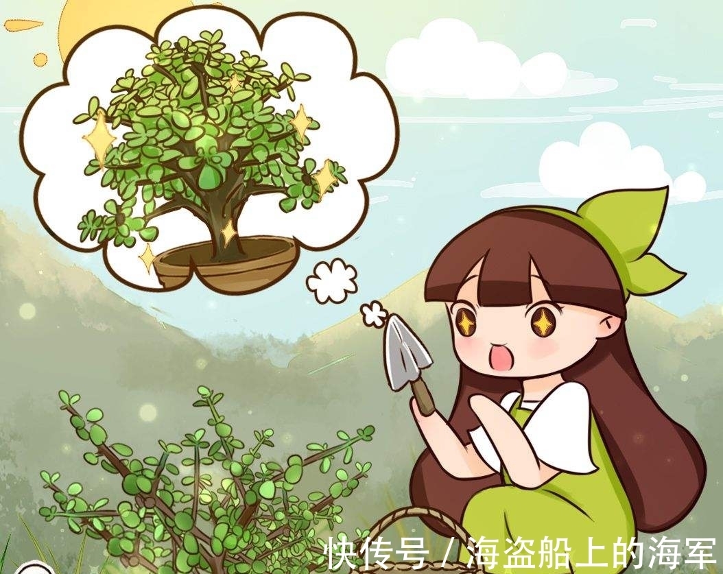 叶子|养护金枝玉叶其实很简单，做好这几点，枝繁叶茂又好看！