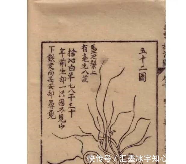 奇书|家有一本奇书实在看不懂