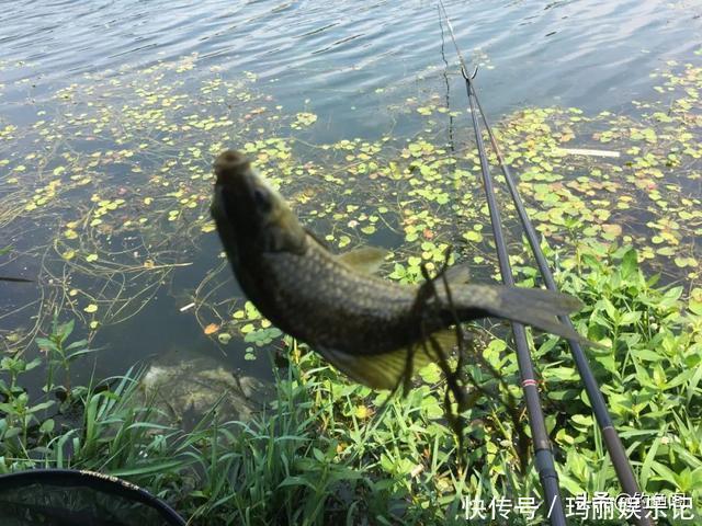 野钓|钓鱼中的“黑话”知多少?能听懂10个以上的是老钓手