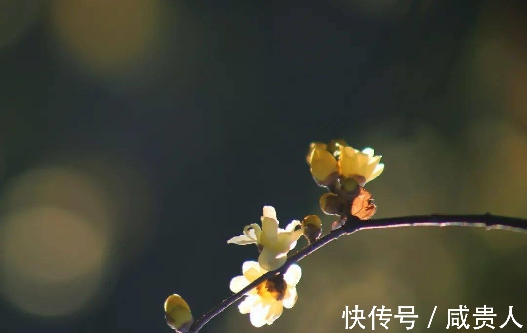 韦应物$哲理诗三首,世事荏苒几盈虚,茫茫难自料,心态最重要