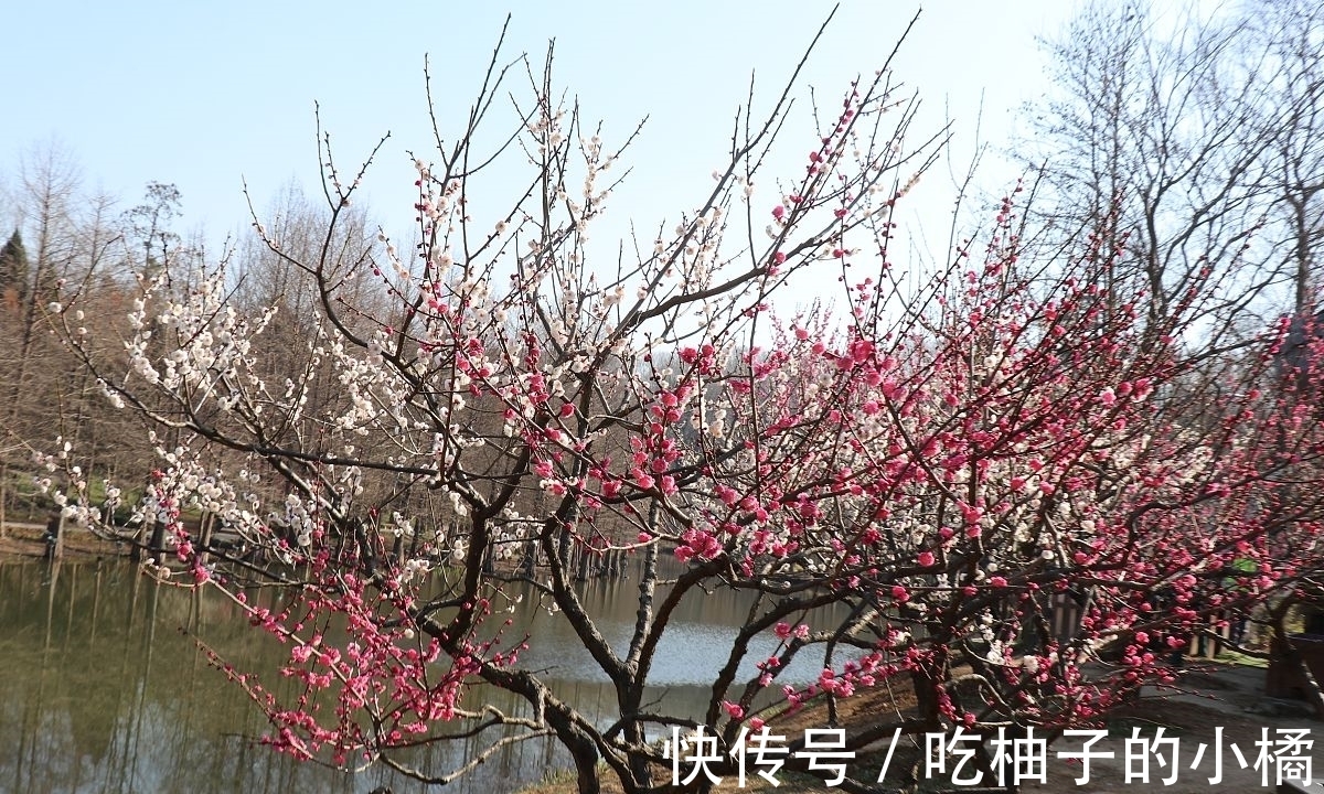 黄州&苏轼岐亭访友,忆昔抚今,感慨万千,写下了一首著名的七律