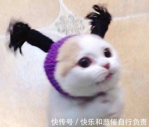 椰油酰甘氨酸钠|没想到皮肤经常出油的原因竟是这个!你中招了吗?