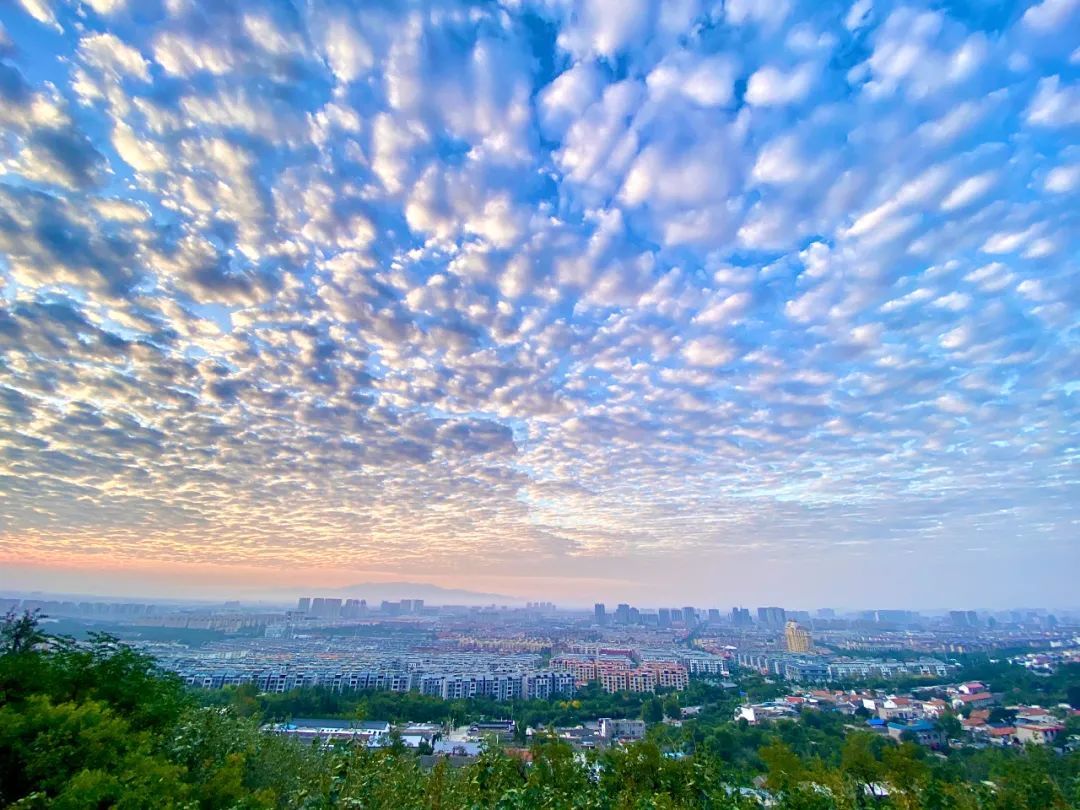 刘十九|今天的泰安，是彩云的城！从城里到泰山顶绝美照片曝光！太太太养眼了！