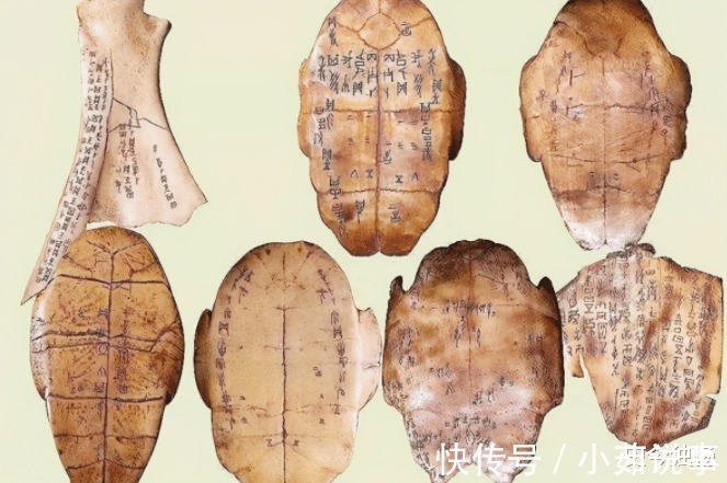 面粉|古代一敷就能立刻止血的金疮药,为何如今失传了你看原材料是啥