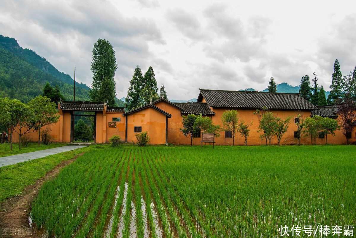  树木|农村俗语“门前不栽竹，屋后不种树”，这是为何呢？有道理吗？