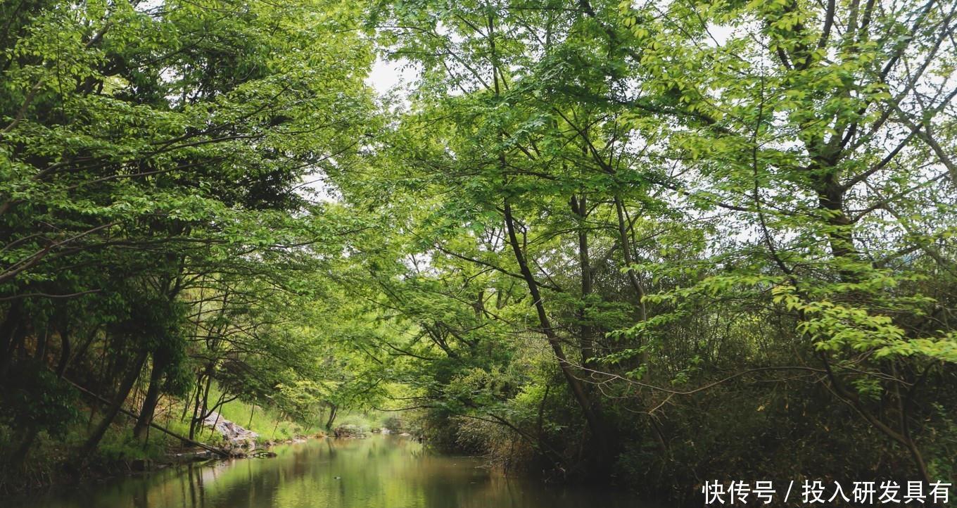 河南大别山中藏着一座峡谷，潭水清澈无污染，当地还传承非遗文化