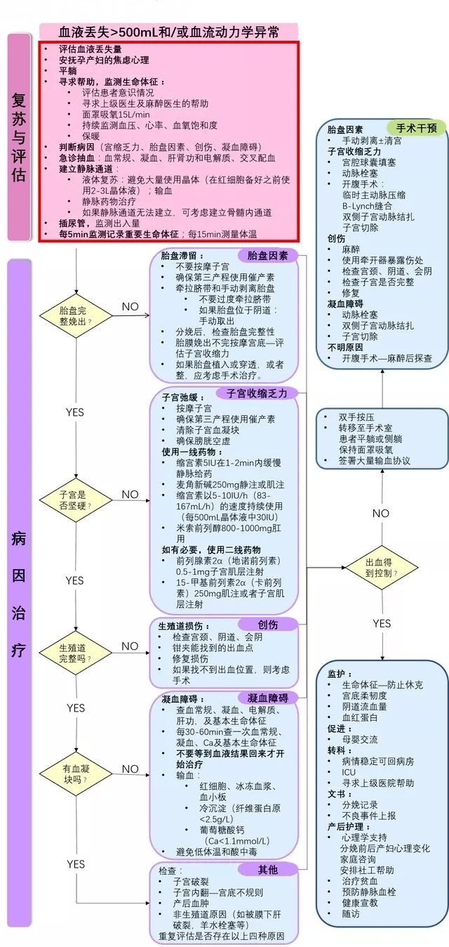 临床表现|产后出血,一道生死线!