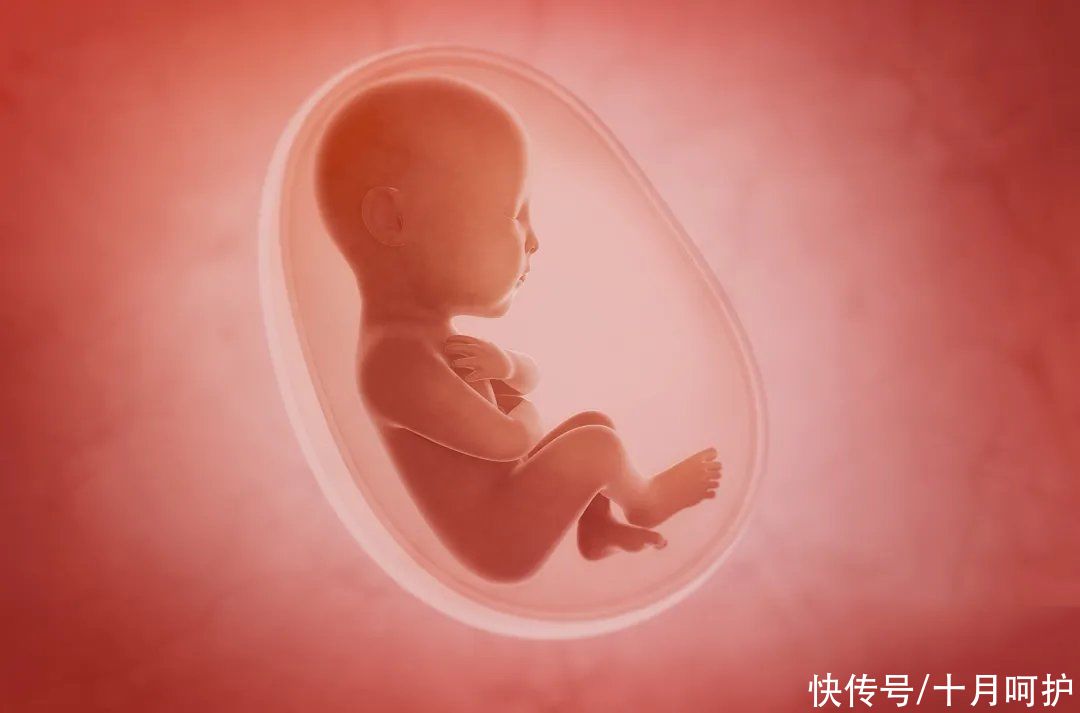 补钙|孕期补钙，是给孕妈补的