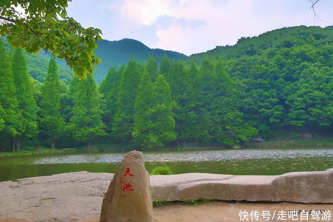 老年|原来河南有如此美艳的仙山，水秀山明，步步皆景，太惊艳了