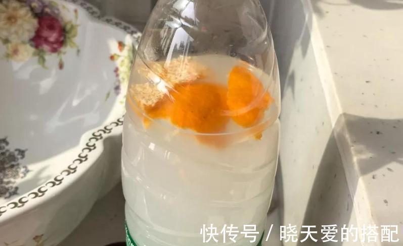 “加工”后的淘米水养多肉，效果杠杠的，早知道早受益