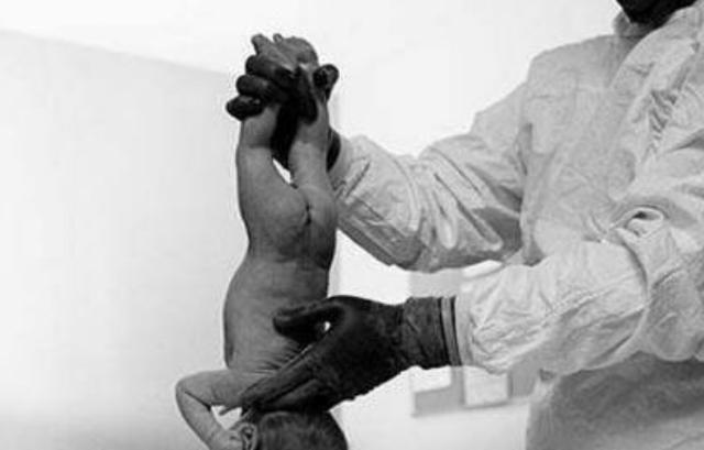 宝妈|宝宝刚出生就对妈妈“笑”,护士却猛扇一巴掌,事后宝妈连声道谢