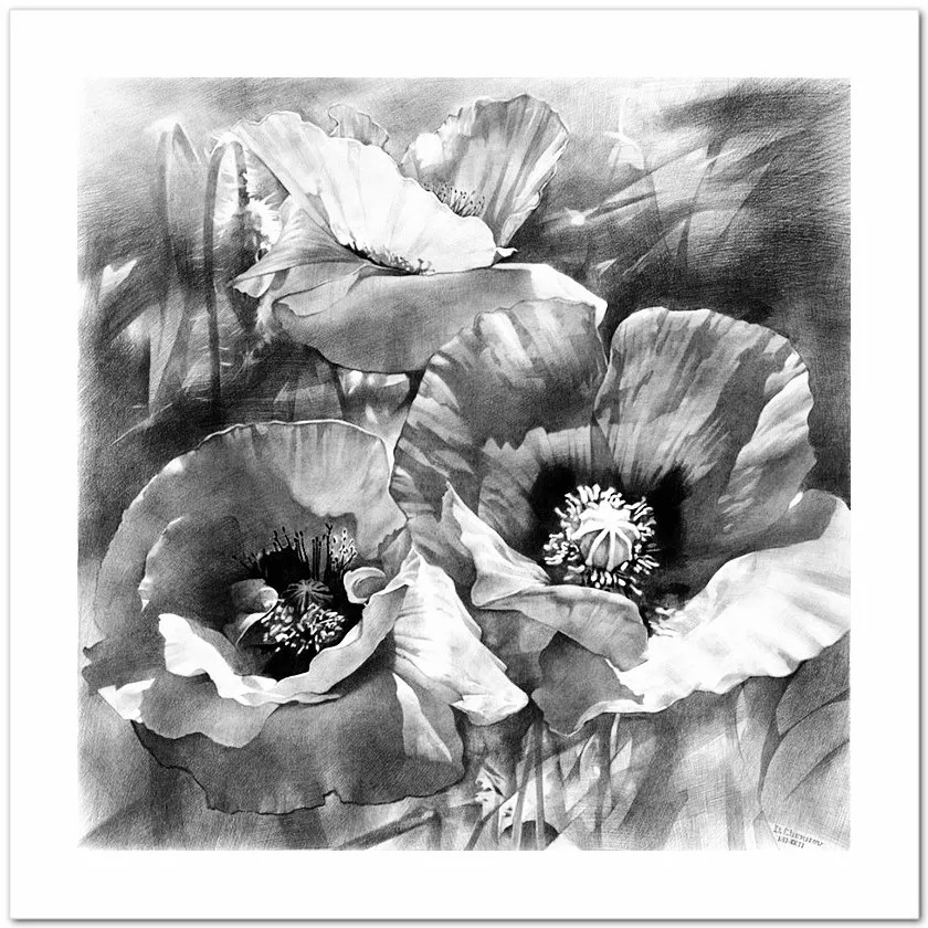 素描#乌克兰画家丹尼斯·切尔诺夫-头像、静物素描