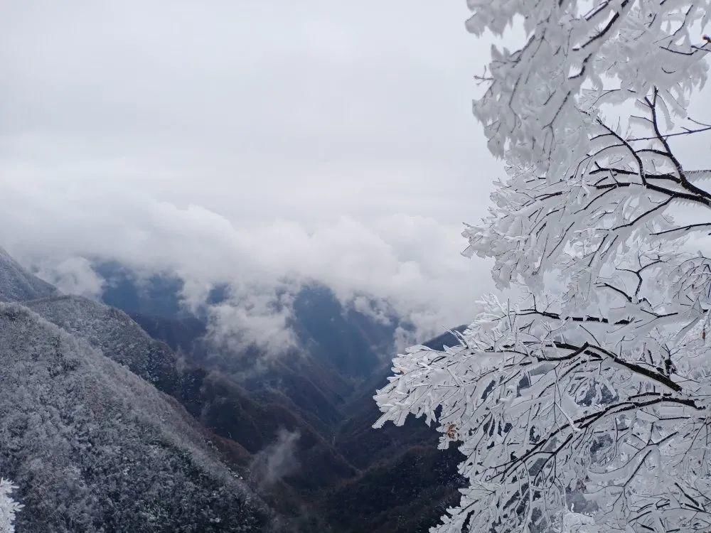 美成|美炸了！雪后鬼谷岭雾凇云海，银装素裹美成仙境！