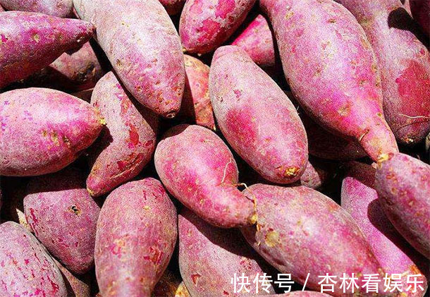 气血|“红薯”补气血防癌助长寿,警告2大“禁忌”要牢记,乱吃致病