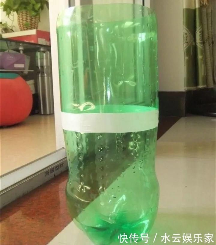 雪碧瓶别丢了，剪个口子拿来养花，一点不比买得花盆差！