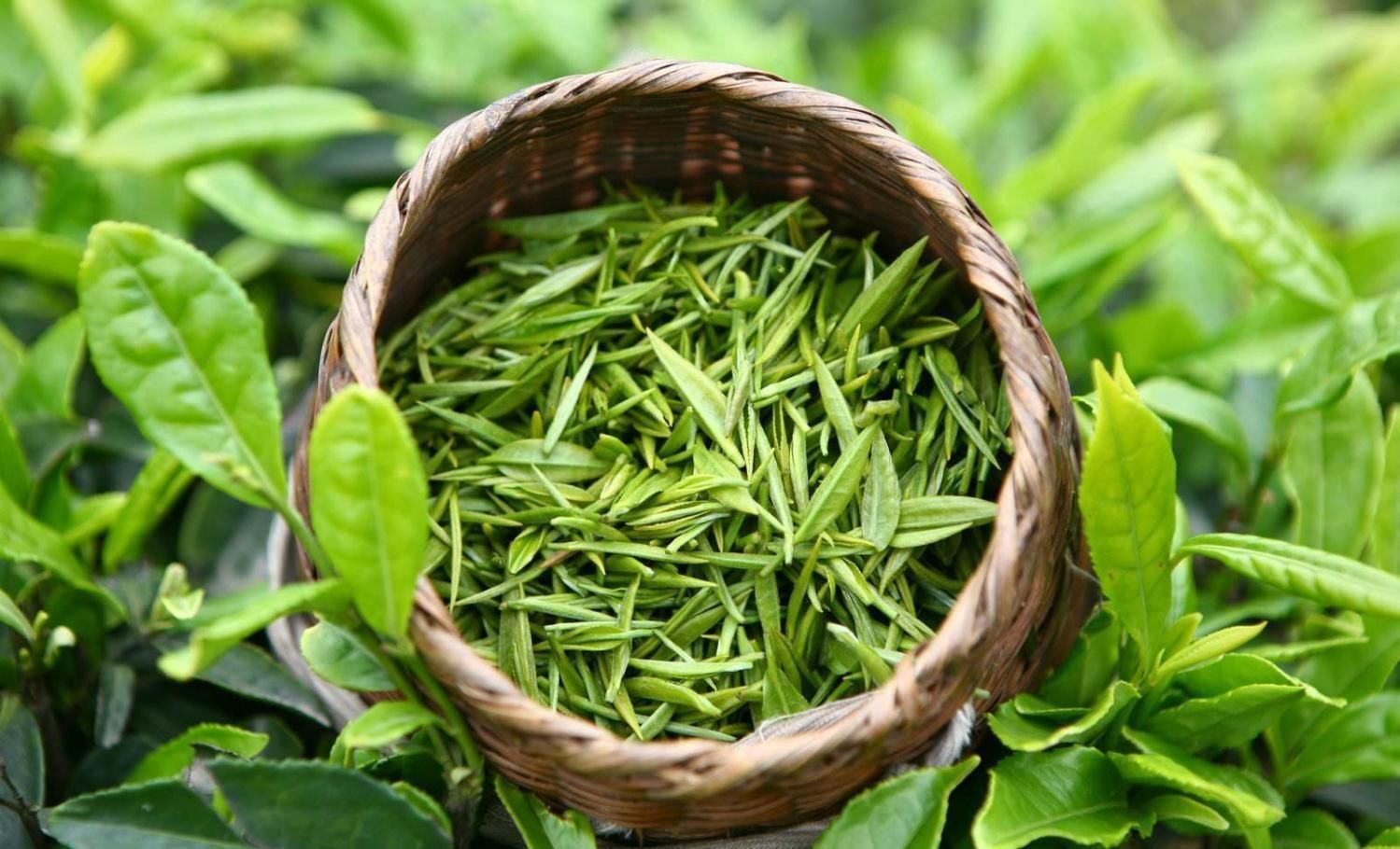 胆固醇|别看它不起眼, 却是高血脂的“死对头”, 常吃远离血栓困扰