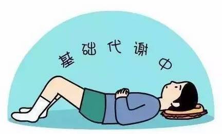 降低|基礎代謝是怎么降低的？