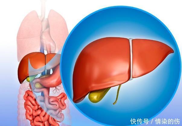 乙肝转阴“3部曲”,不论男女,都值得去试一试早知早受益