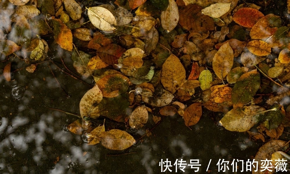 马戴&晚唐一诗人落榜后蜗居郊区,一首诗写尽落寞之感,颔联成千古名句