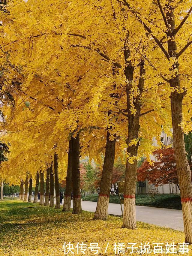 这个季节的色彩用首饰来表达,将珠宝佩戴在身,彰显浓浓的中国风