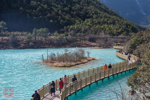 牦牛坪|只有云杉坪，蓝月谷的玉龙雪山之旅遗憾么？知足才是旅途最好心态