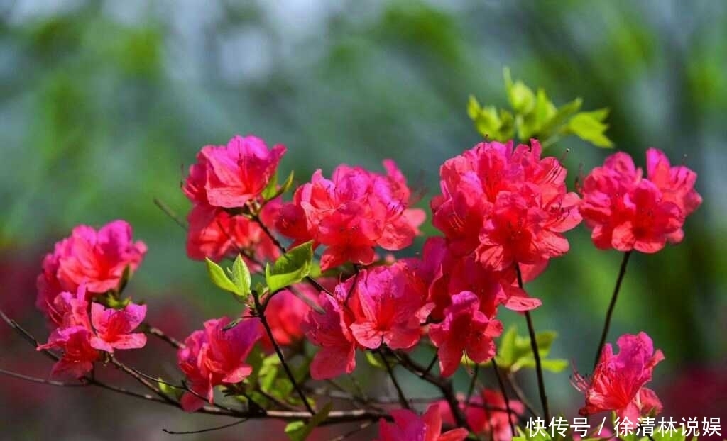 八首恬淡诗词 流水桥旁 茅檐长扫 花落柴门掩夕晖 全网搜 八首恬淡诗词 流水桥旁 茅檐长扫 花落柴门掩夕晖 全网搜