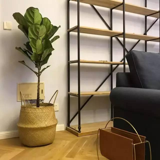 花土硬得像石头,烂根又黄叶,灌点它很快变松软,不用换土!