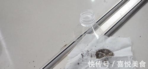 在门口放一个塑料瓶，太聪明了，解决了困扰大家的一大难题，真棒