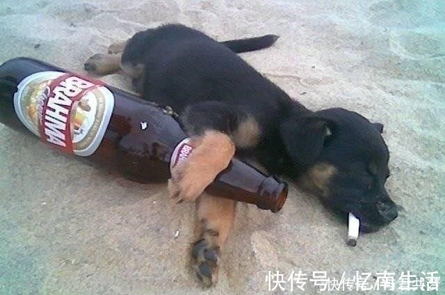 |不知哪位高人写的喝酒段子,笑翻了!发给朋友开心一下