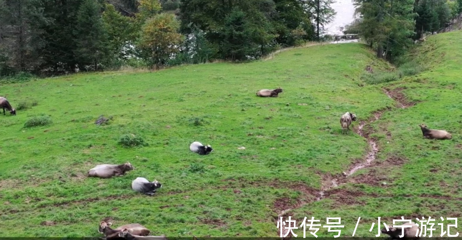 阿尔卑斯山脉|单身女孩游历意大利,阿尔卑斯山脉,奇缘巧遇攀岩勇士