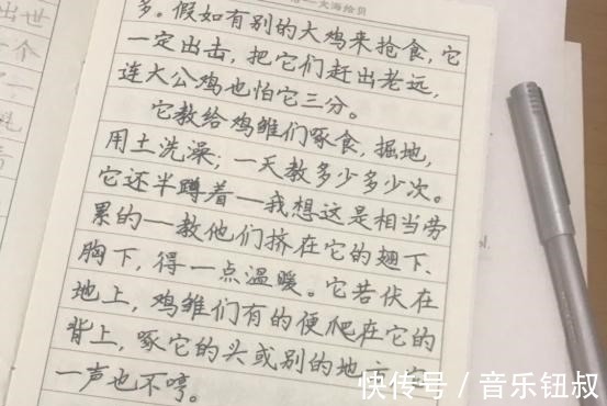 作文$小学生“火星字体”火了,老师看完心态没了:没一个字能看懂