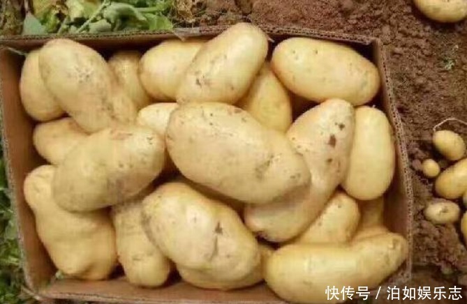 对身体很好的3种食物，每天吃一些，排毒清肠，养颜抗衰老