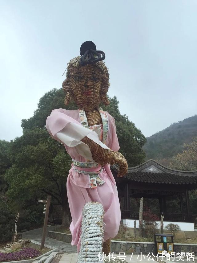 视频号|“现在人网购的审美有多奇葩？？”哈哈哈哈哈真的离了个大谱