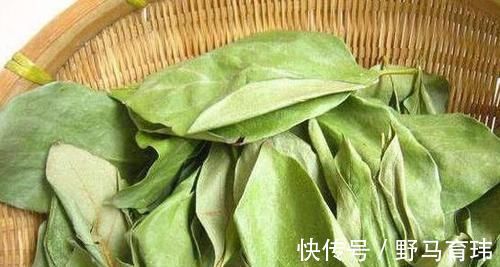 营养成分|女性想要皮肤好，推荐常吃3种食物，美容养颜，滋润身体