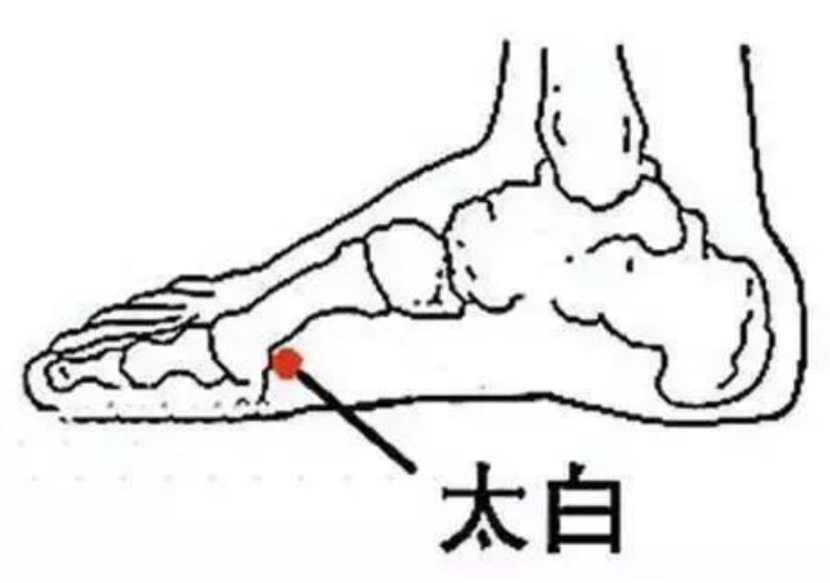 山楂|脾胃伤则百病生,教你几招养好脾胃!