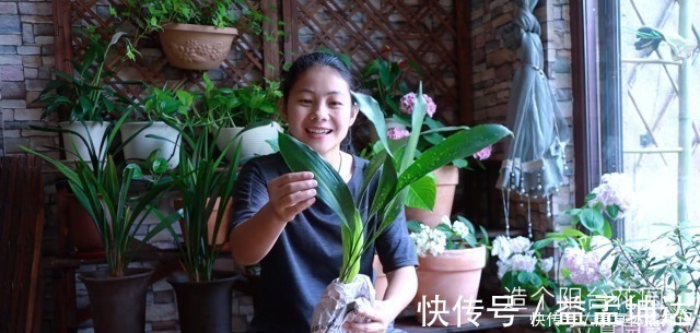 家里不养一盆一叶兰太可惜了，好看如兰花，却比绿萝好养10倍！