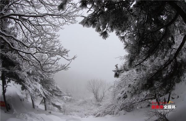 一路苍松万壑涛 料峭春雪入画来