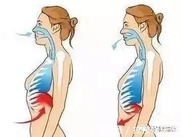 ii|呼吸是瑜伽的灵魂，教你更深入的了解腹式呼吸，让练习更有效