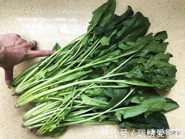 植物纤维|买菠菜时,选“长”还是选“短”的?牢记“3不买”,别随便买了